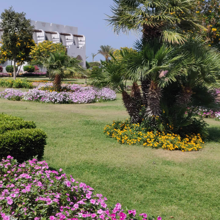 Gartenanlage Three Corners Equinox Beach Resort