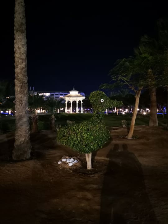 Gartenanlage Steigenberger Aqua Magic