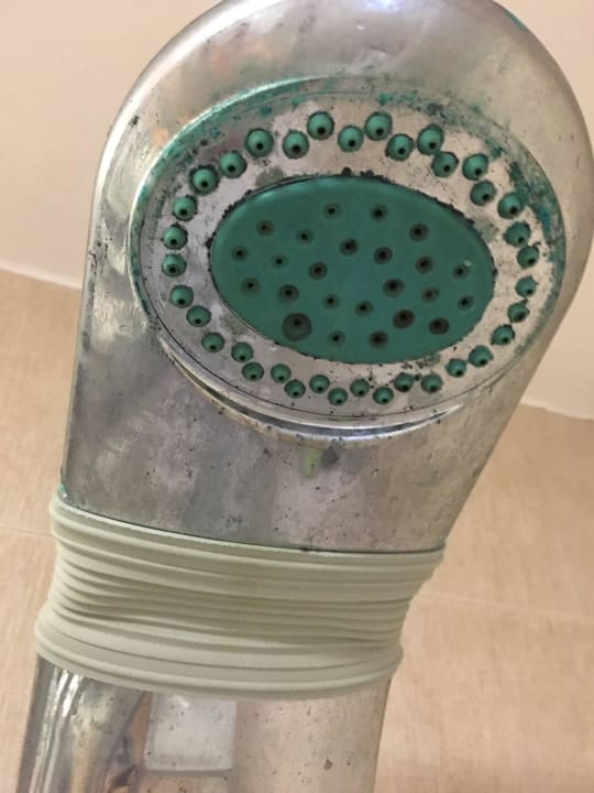 Unsaubere Dusche Pearl Beach