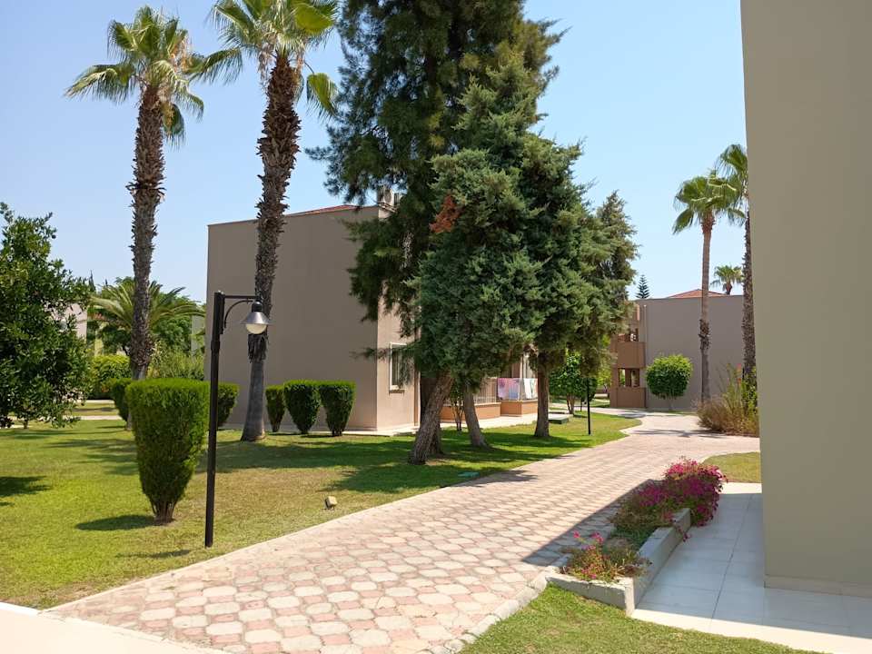 Zimmer Kamelya Aishen Club