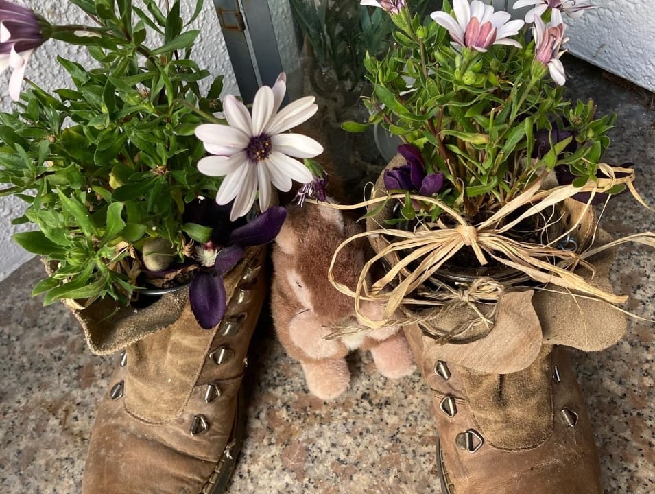 Sonstiges Ferienwohnung Puschel