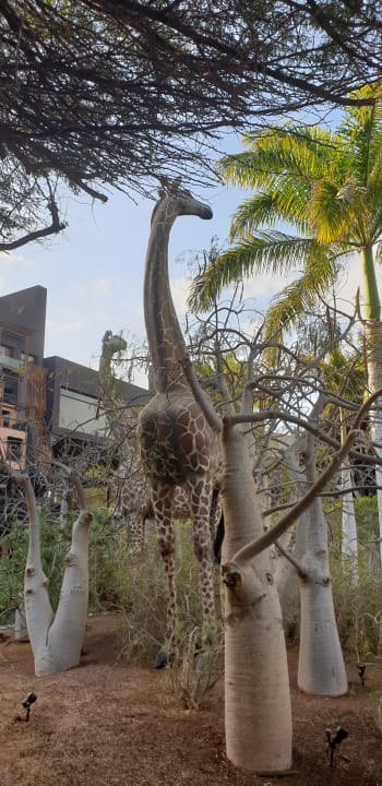 Gartenanlage Lopesan Baobab Resort