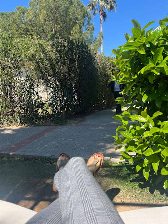 Gartenanlage Hotel Best Sabinal