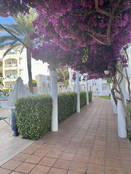 Gartenanlage Green Garden Aparthotel