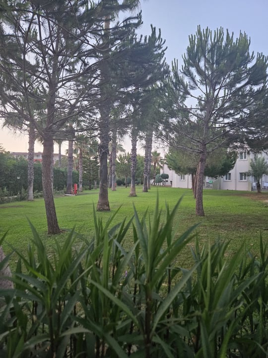 Gartenanlage Adora Hotel & Resort