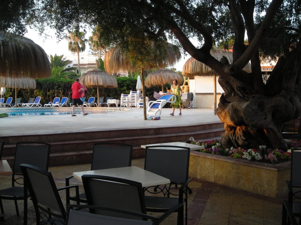 Fit mach mit,...selbst ist die Frau Hotel Condesa