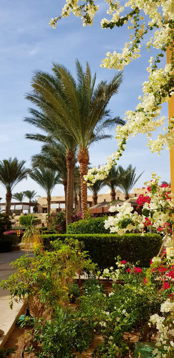 Gartenanlage Steigenberger Coraya Beach - Adults only