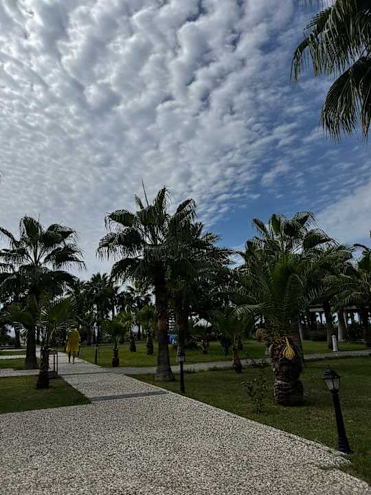 Gartenanlage Sultan of Dreams Hotel & Spa