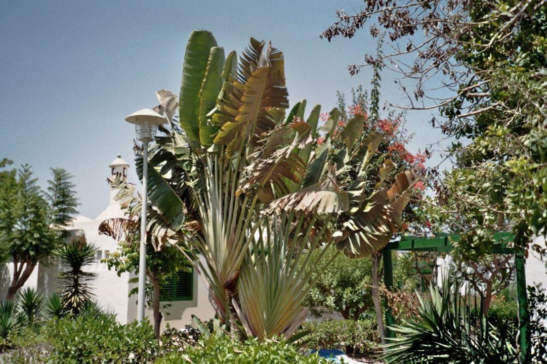 Sandy Golf Bungalows Cordial Sandy Golf