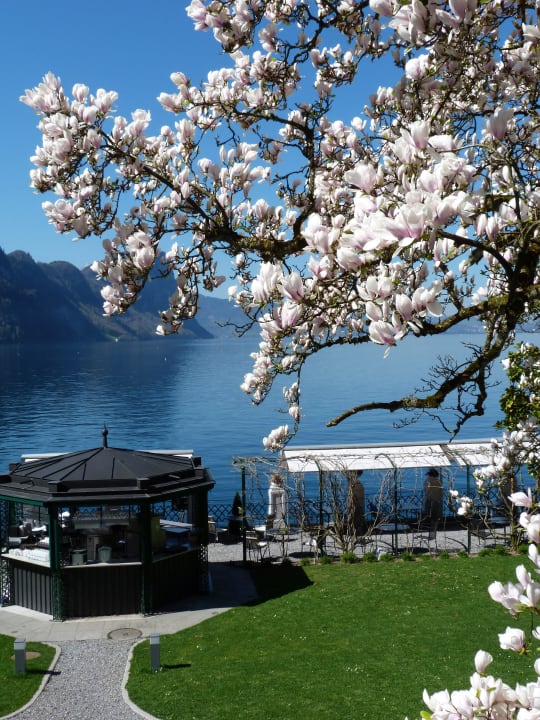 Hotelgarten Hotel Vitznauerhof
