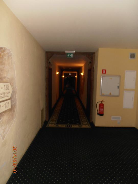 Hol w hotelu Hotel Żubrówka Białowieża