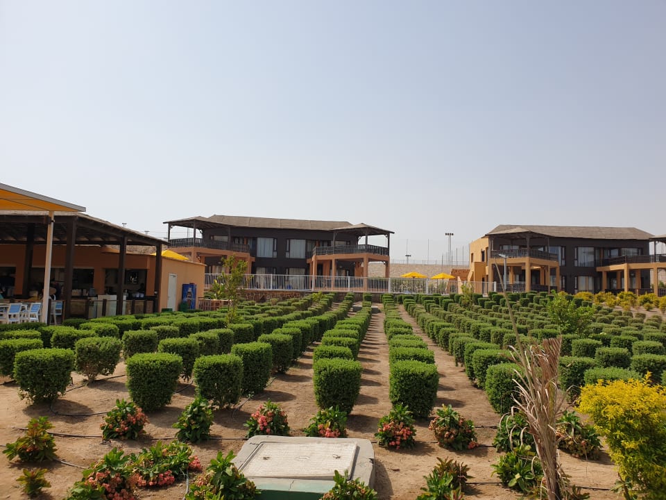 Gartenanlage Pickalbatros Vita Resort - Portofino Marsa Alam
