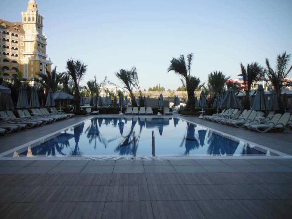 Royal Seginus Royal Seginus