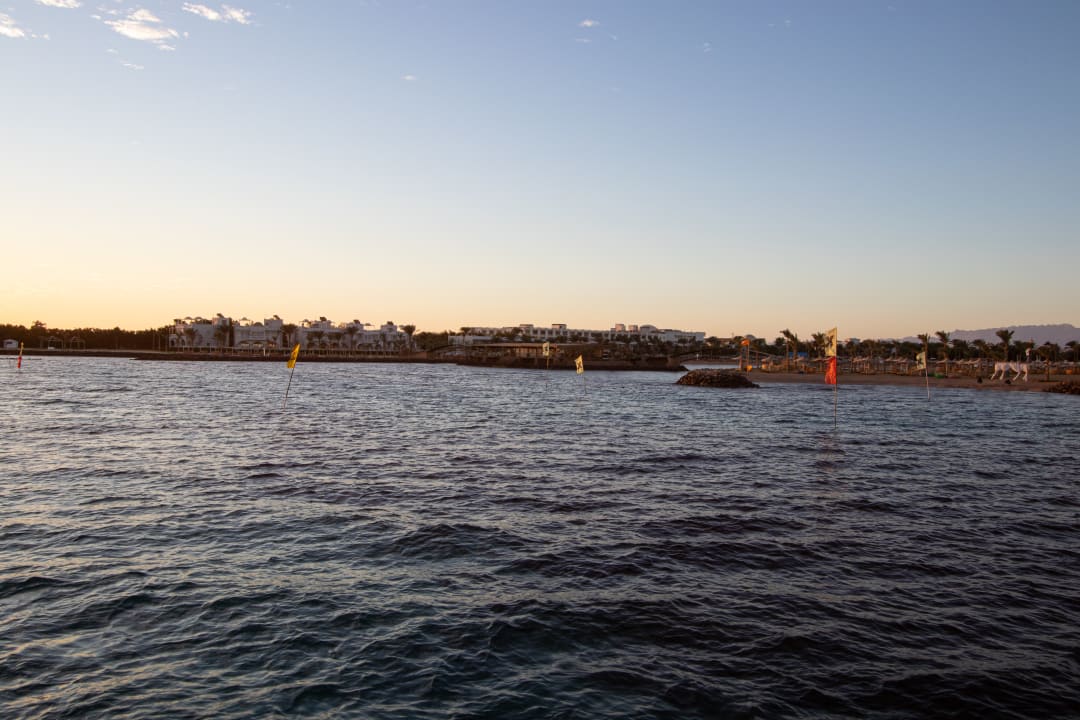 Ausblick Desert Rose