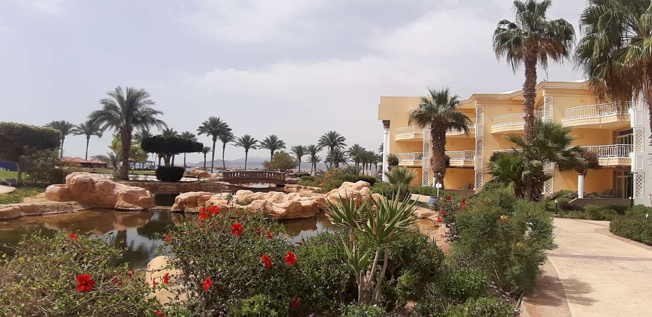 Gartenanlage Palm Royale Resort - Soma Bay