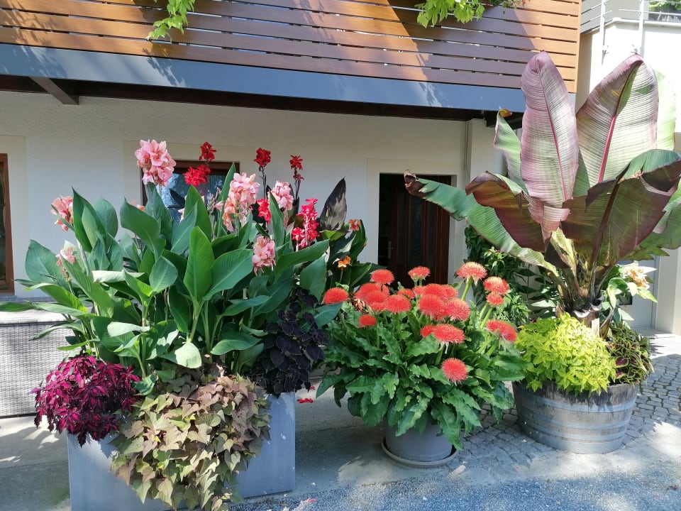 Außenansicht Hotel garni Sonnenhof