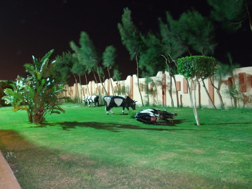 Аллея с мультяшками Pickalbatros Aqua Park Resort - Hurghada