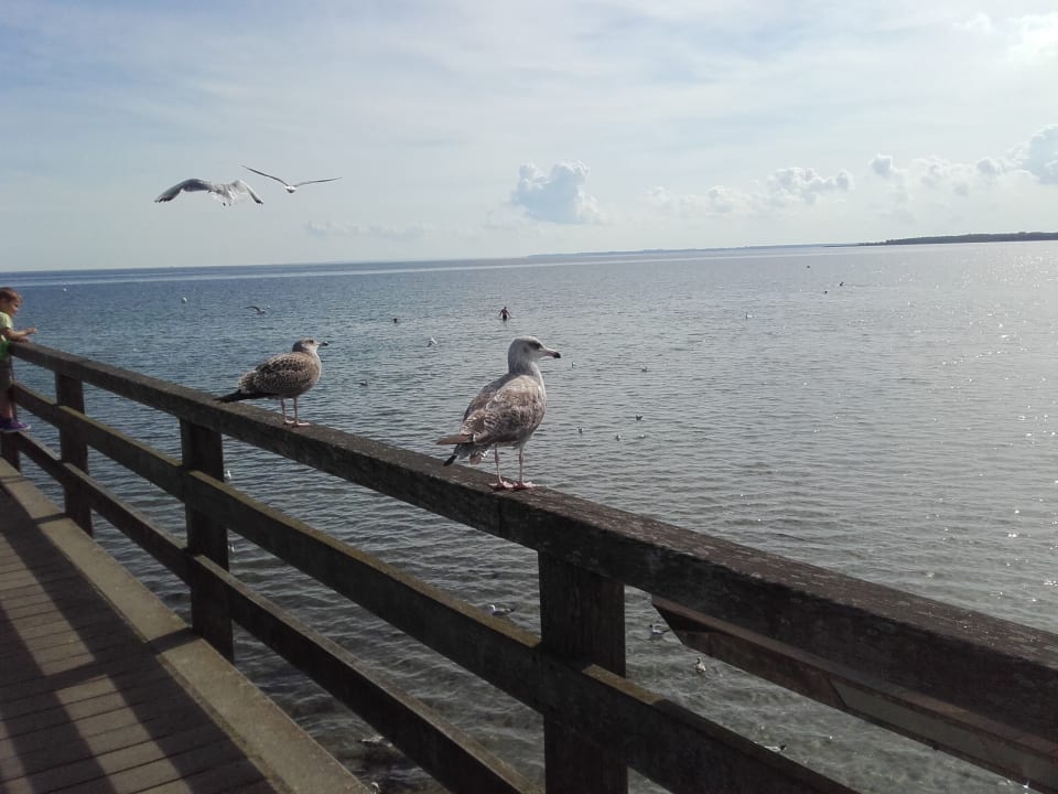 Strand Seehotel Großherzog von Mecklenburg