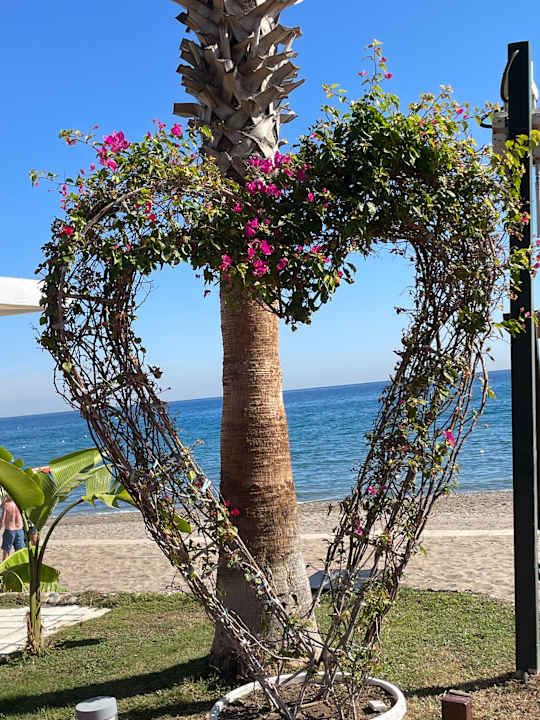 Gartenanlage TUI MAGIC LIFE Beldibi +16