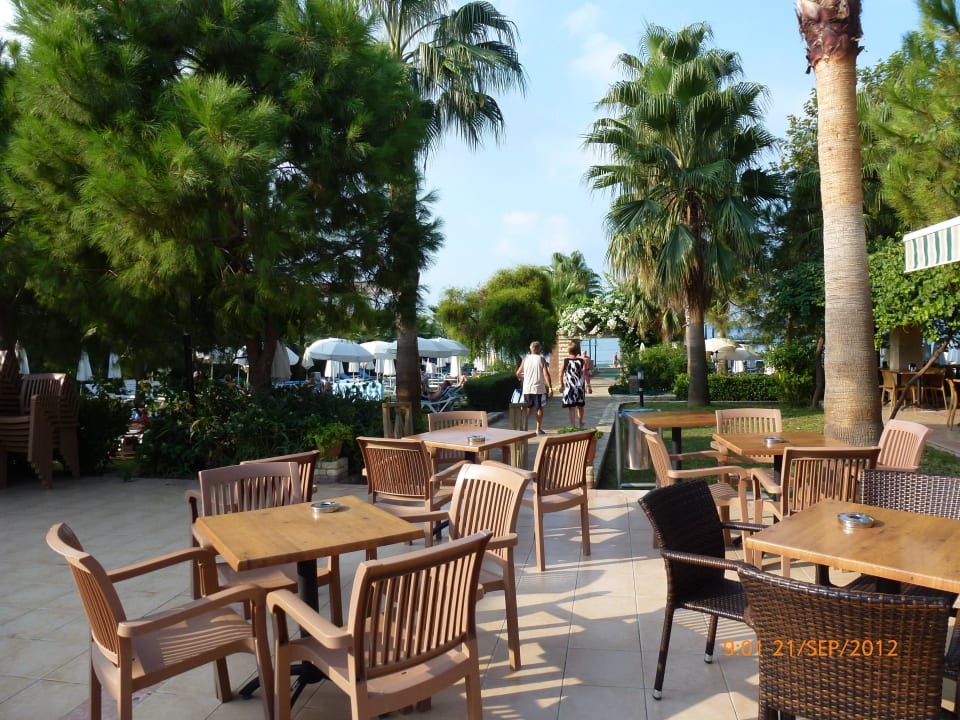 Bereich zur Strand-/Poolbar Trendy Palm Beach (Adults Only, 16+)