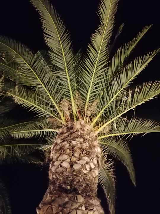 Gartenanlage Possidi Holidays Resort & Suite Hotel