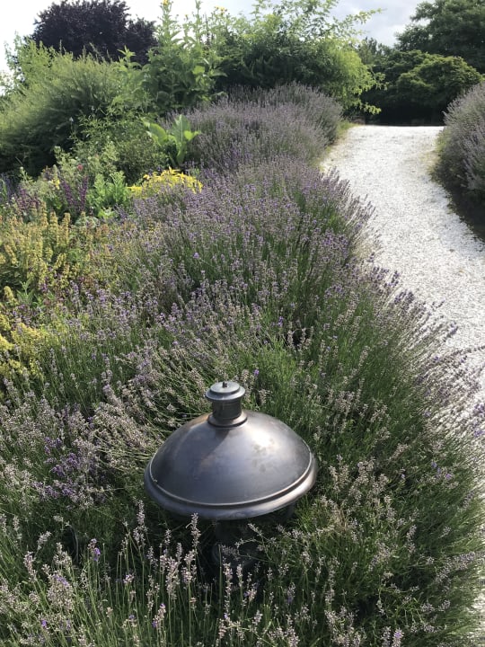 Gartenanlage Hotel & Spa Der Steirerhof Bad Waltersdorf