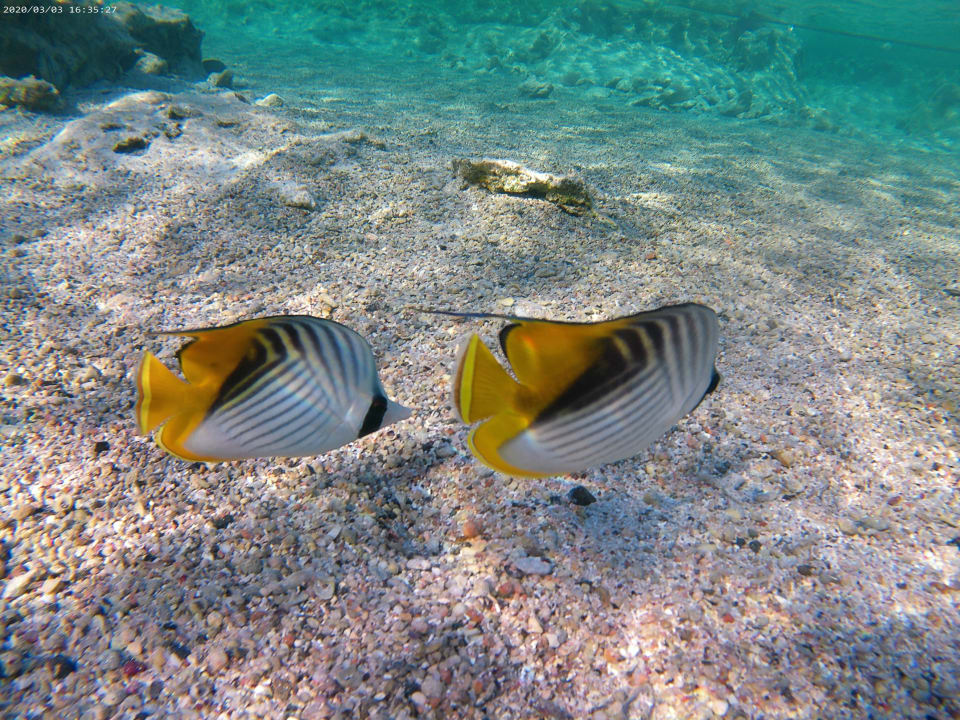 Strand Three Corners Sea Beach Resort