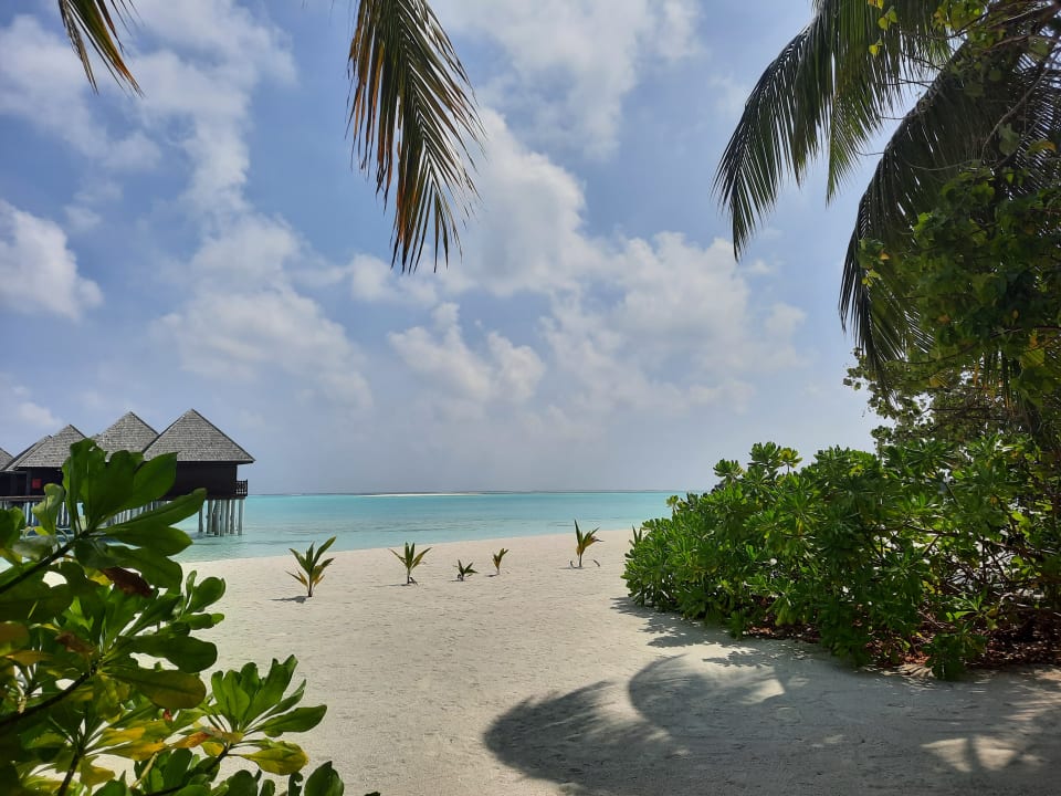 Strand Sun Siyam Olhuveli