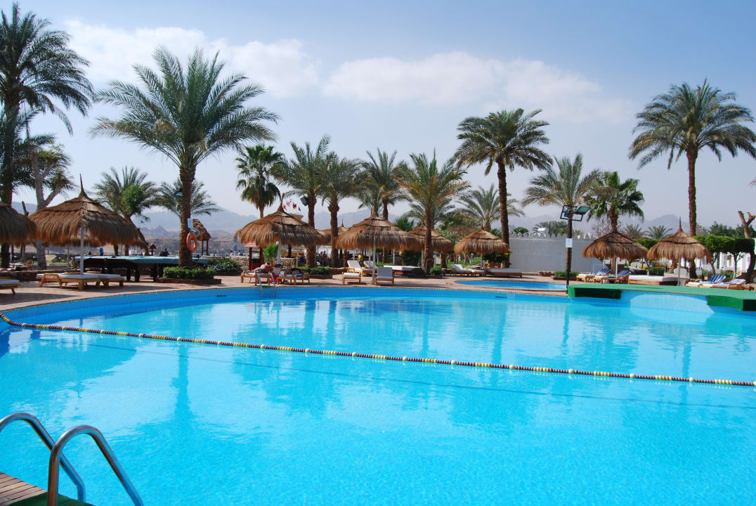 Pool Albatros Sharm Resort