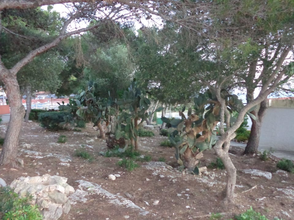 Zwischen den Bungalows                 Sun Club Eldorado