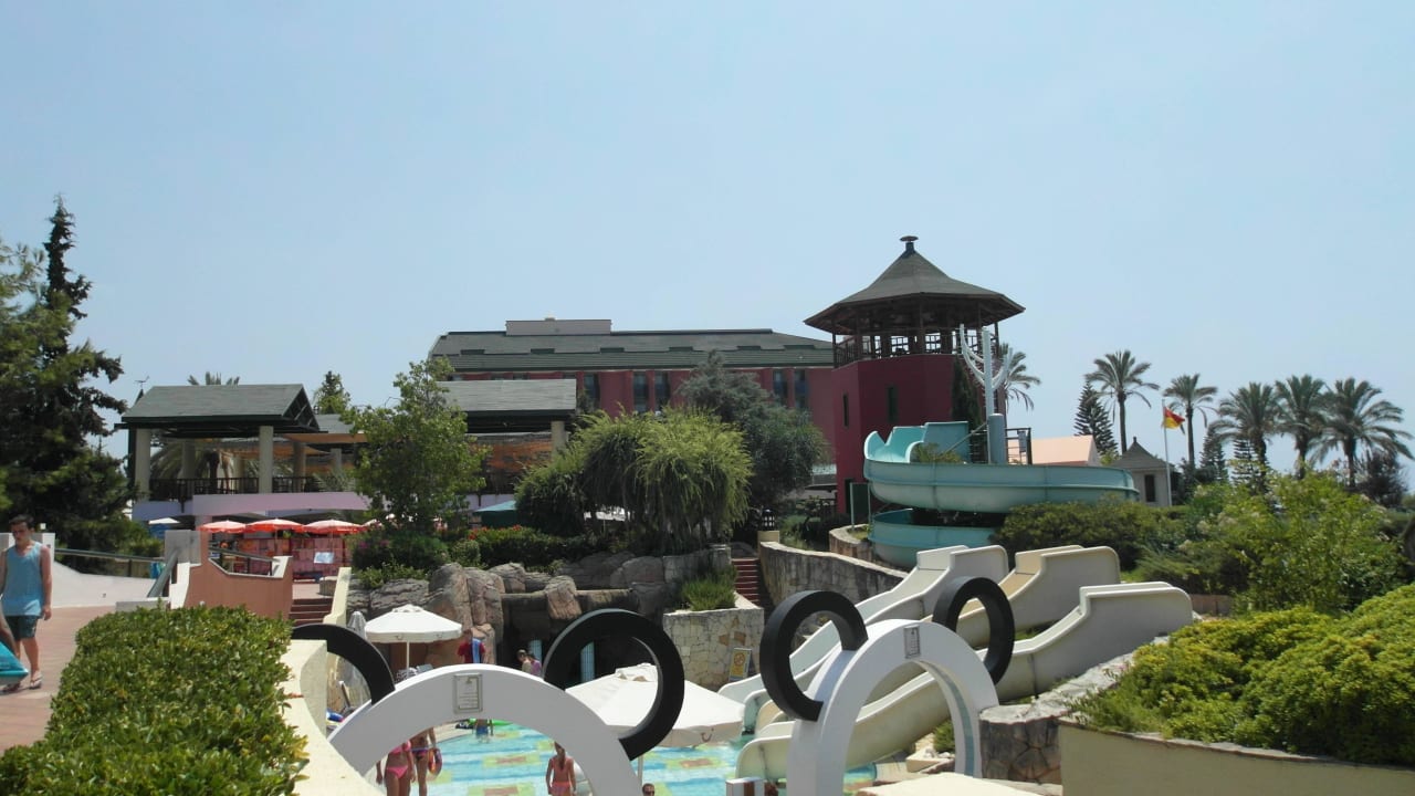 Sehr groß AQI Pegasos Royal