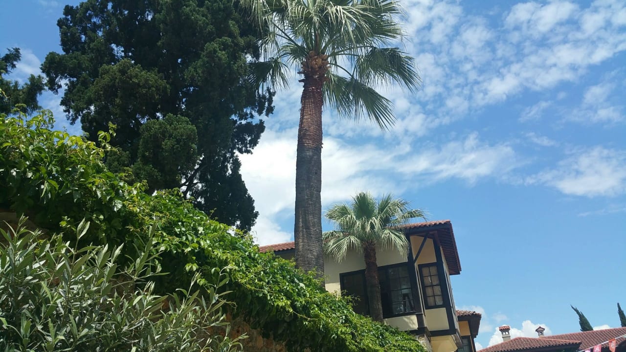 Hotel Alp Pasa Hotel - Special Class