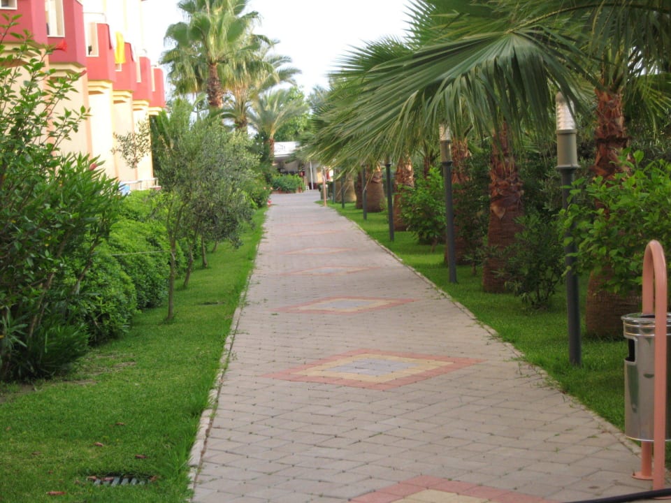 Immer topzustand. Hotel Orfeus Park