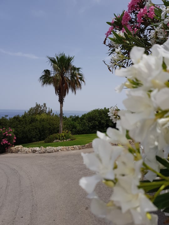 Garten Hotel Kalithea Horizon Royal