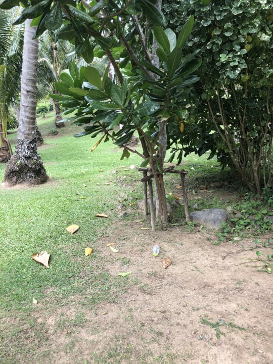 Gartenanlage Cape Panwa Hotel