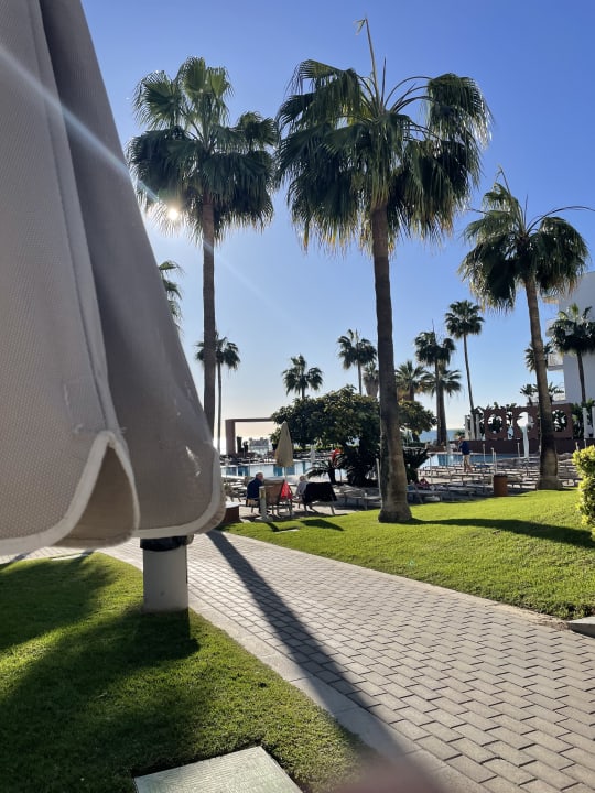 Gartenanlage Hotel Riu Nautilus - Adults only