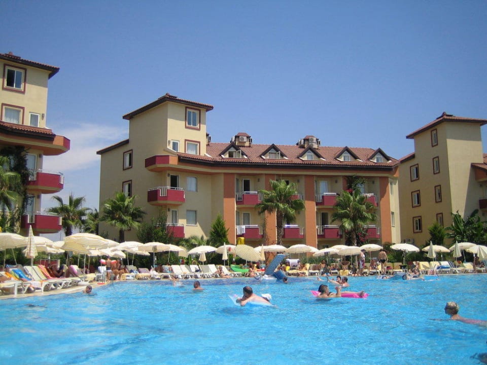 Blick vom Pool - Bild 2 Hotel Orfeus Park