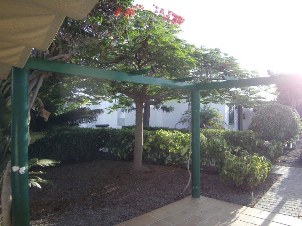 Der Blick von der Terrasse Bungalows Cordial Sandy Golf