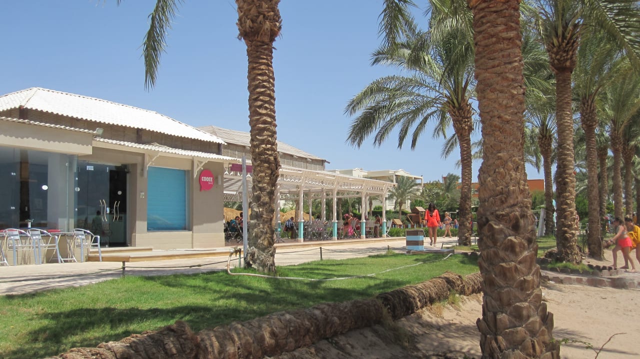 Gastro Sentido Caribbean World Soma Bay