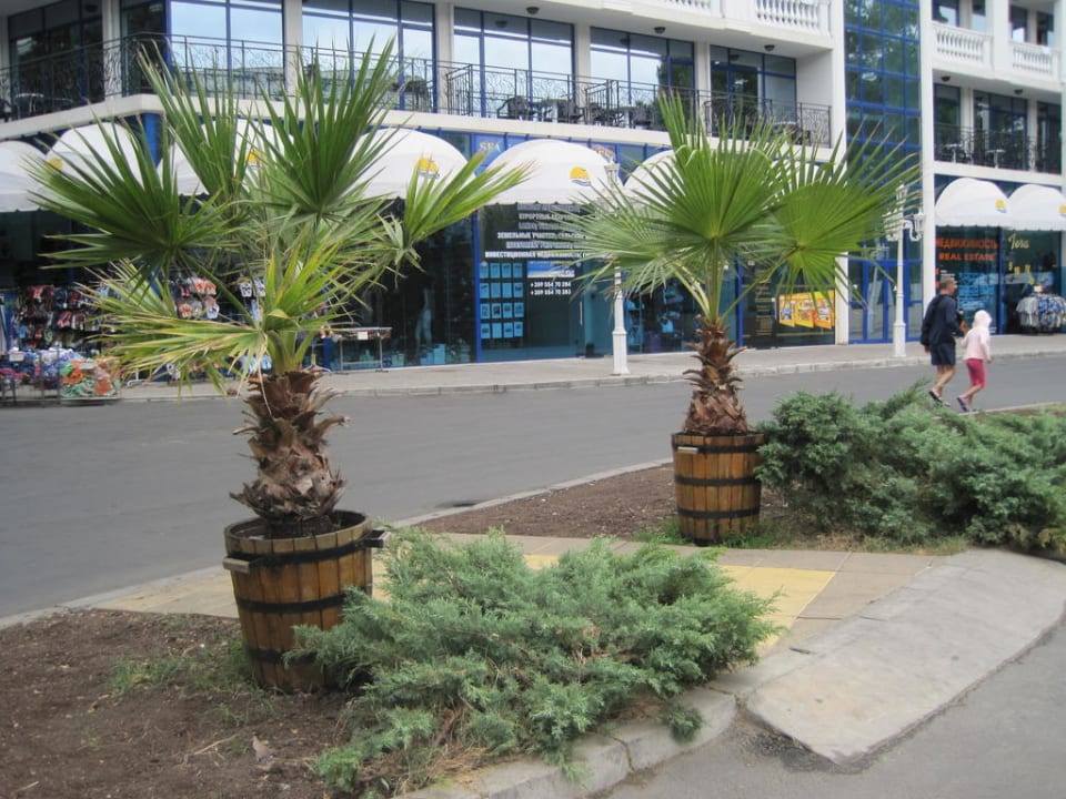Der Weg zum Strand DAS Club Hotel Sunny Beach