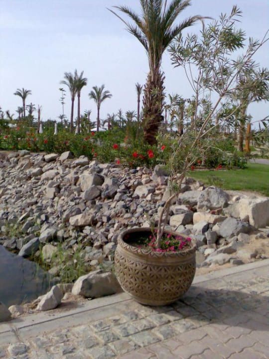 Garten Steigenberger ALDAU Beach Hotel