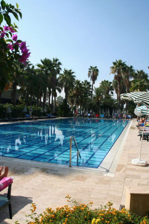 Pool Hotel Meryan