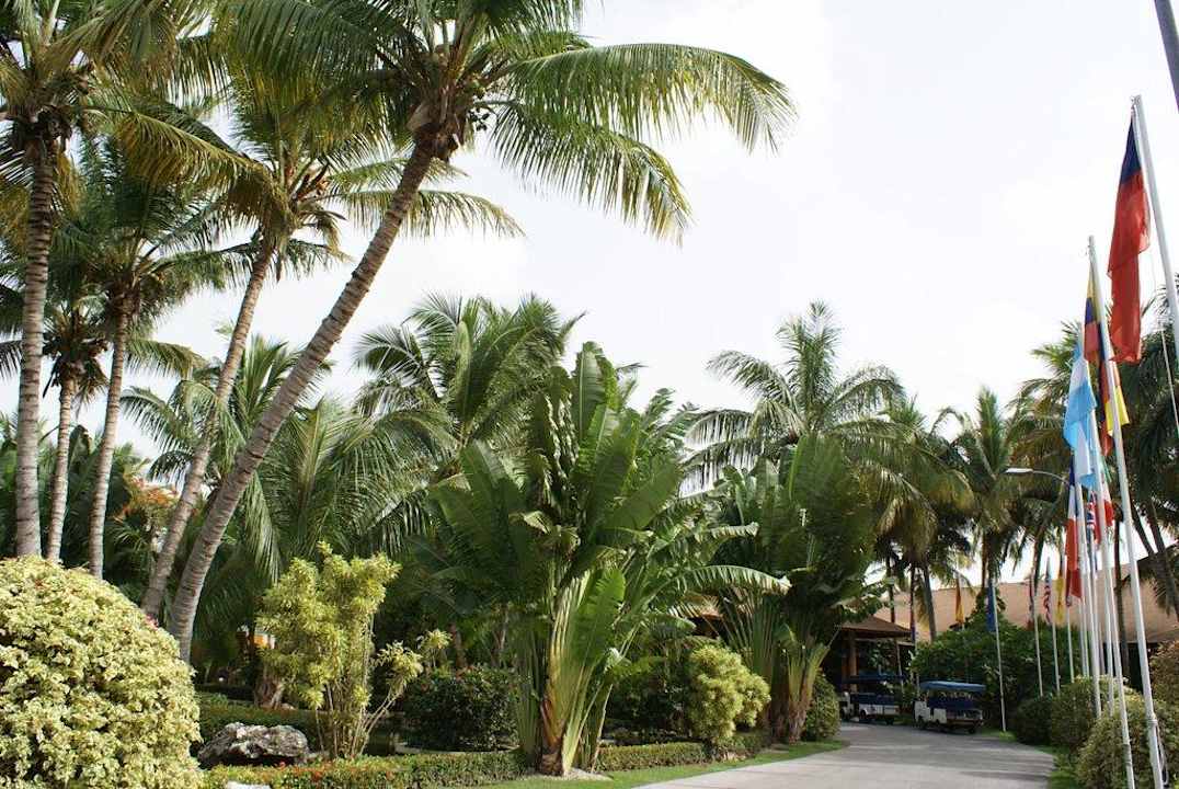 Einfahrt zur Bavaro Rezeption Grand Palladium Select Bávaro Resort & Spa