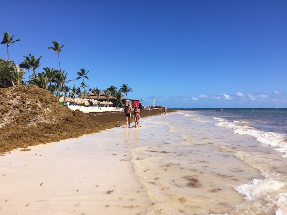 Strand Secrets Royal Beach Punta Cana - Adults only