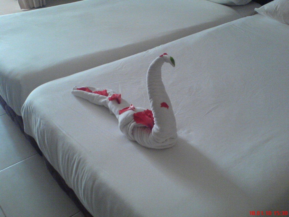 Motive Jaz Dar EL Madina