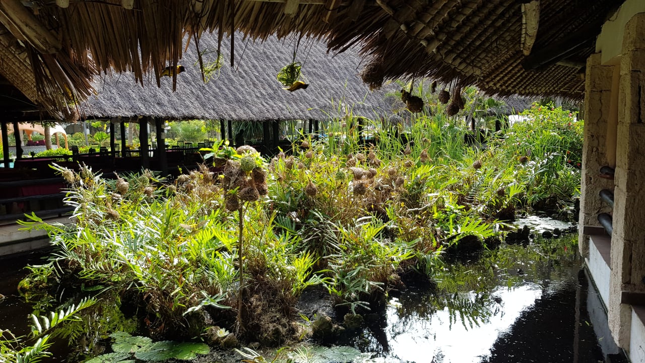 Gastro Hotel Southern Palms Beach Resort