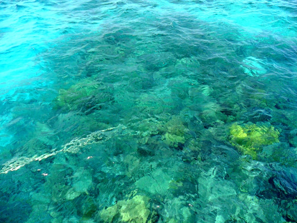 Rotes Meer-Schnorcheln Pickalbatros Alf Leila Wa Leila Resort - Neverland Hurghada