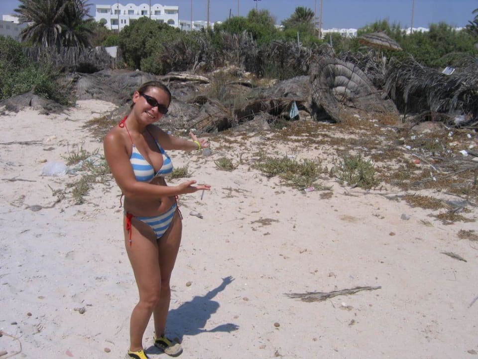 Müll Club Palm Azur