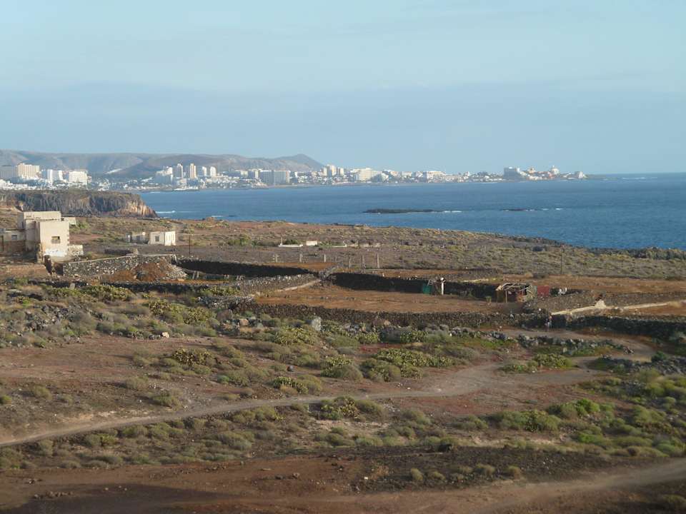 Blick auf Play de las Americas, dazwischen Natur  Bahia Principe Sunlight Costa Adeje
