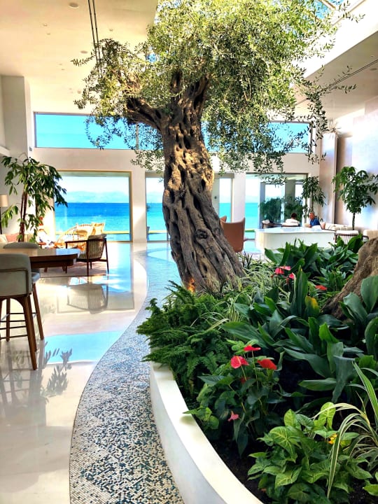 Sonstiges Domes Miramare, a Luxury Collection Resort, Corfu